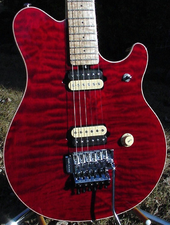 Ernie ball on sale evh wolfgang